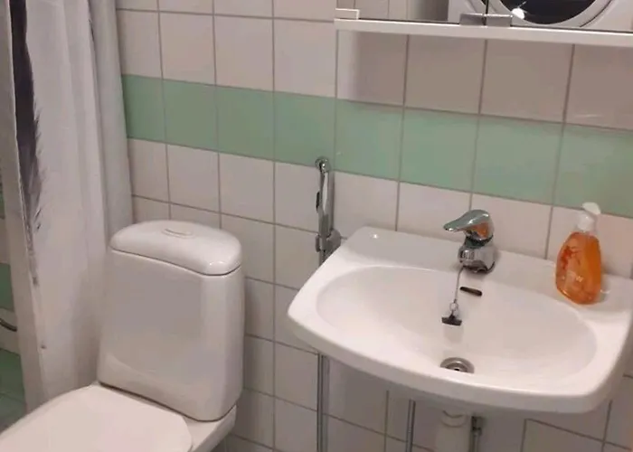 Stylish Center With Sauna Διαμέρισμα Ροβανιέμι